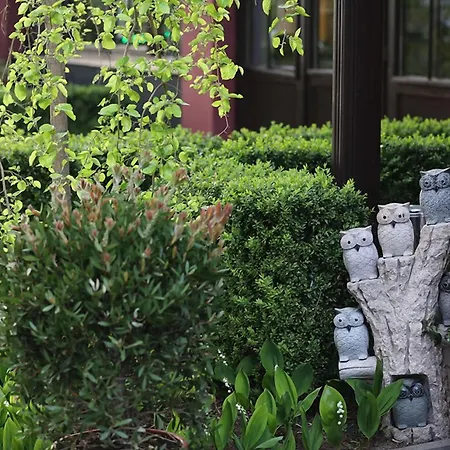 The Lakeside - Burghotel Zu فندق