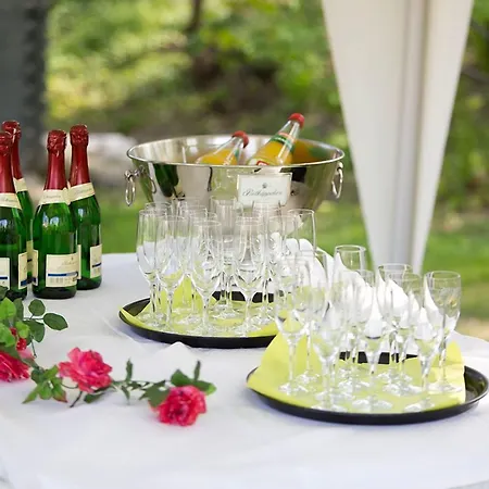 The Lakeside - Burghotel Zu شتراوسبرغ