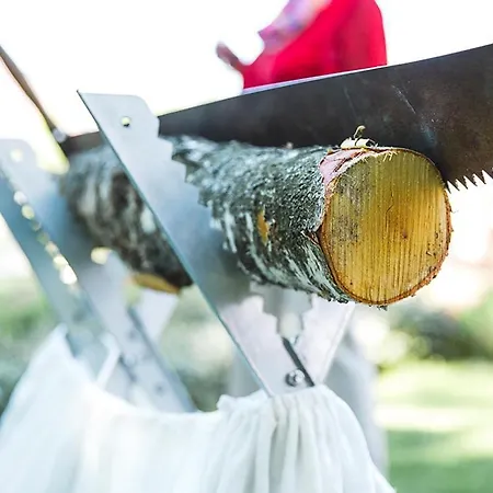 The Lakeside - Burghotel Zu 4*