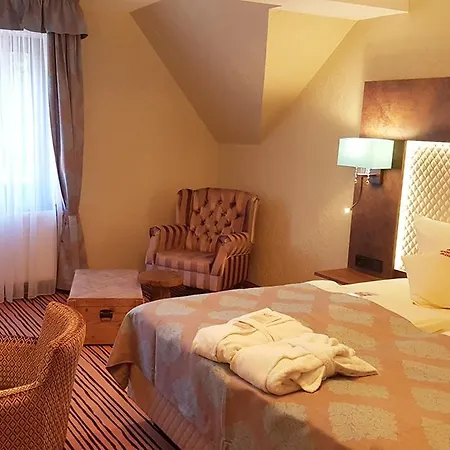 The Lakeside - Burghotel Zu Hotel
