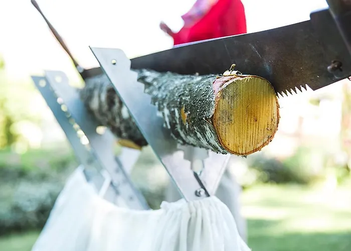 The Lakeside - Burghotel Zu 4*